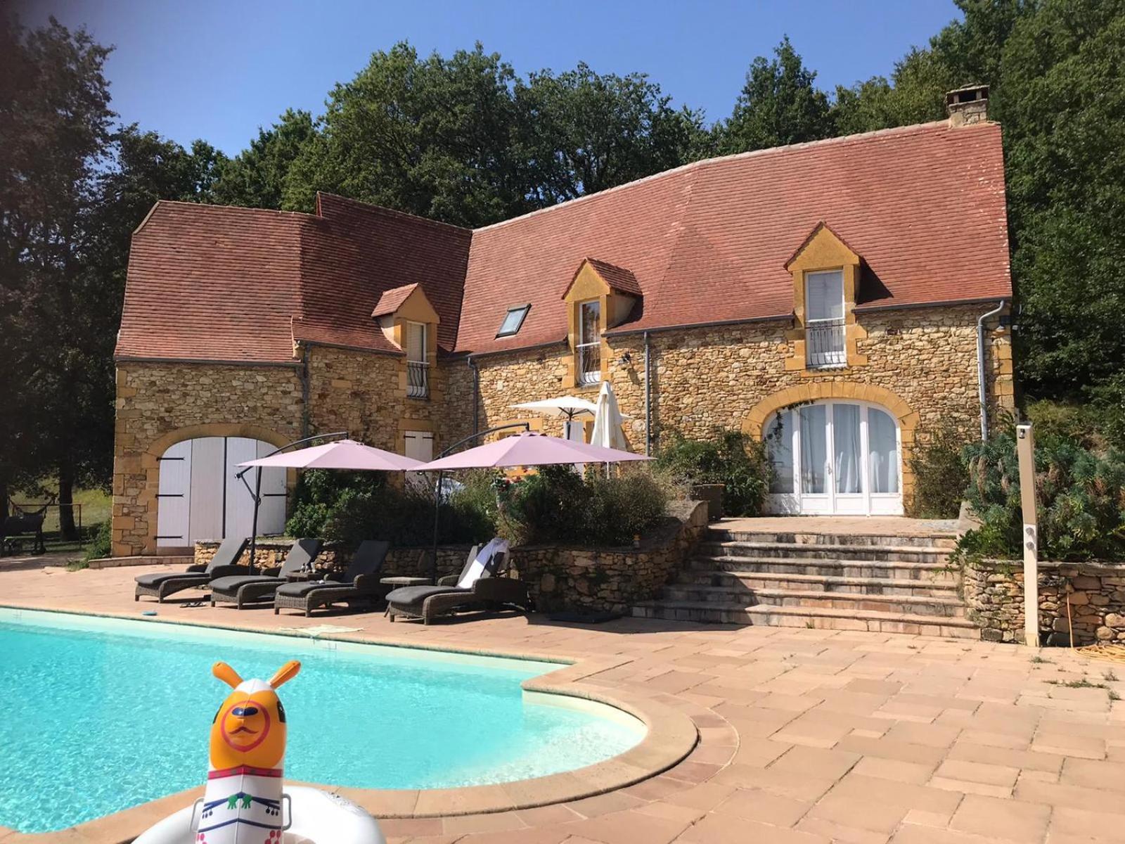Luxury Chateau W. Pool & Hot Tub In Dordogne Beynac-et-Cazenac Eksteriør billede
